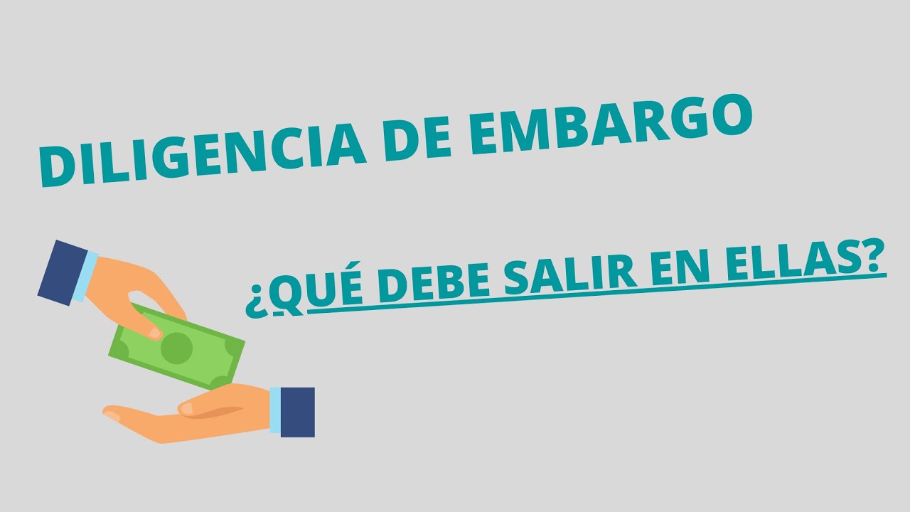 consulta y tramitacion diligencias de embargo