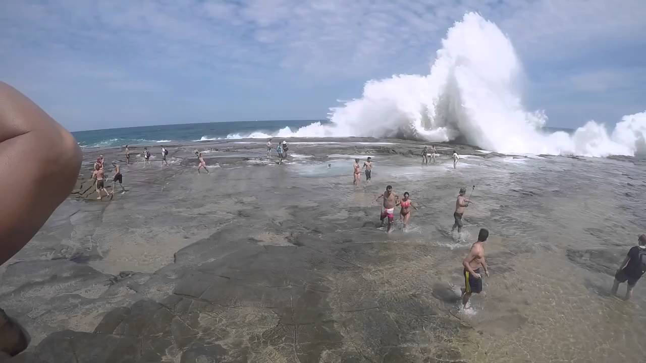 estado de la mar barcelona mallorca