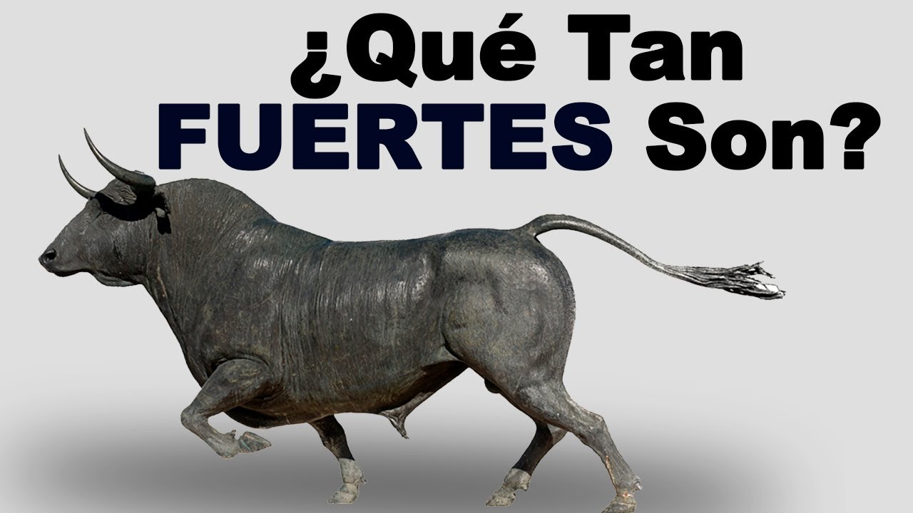 peso de un toro de lidia