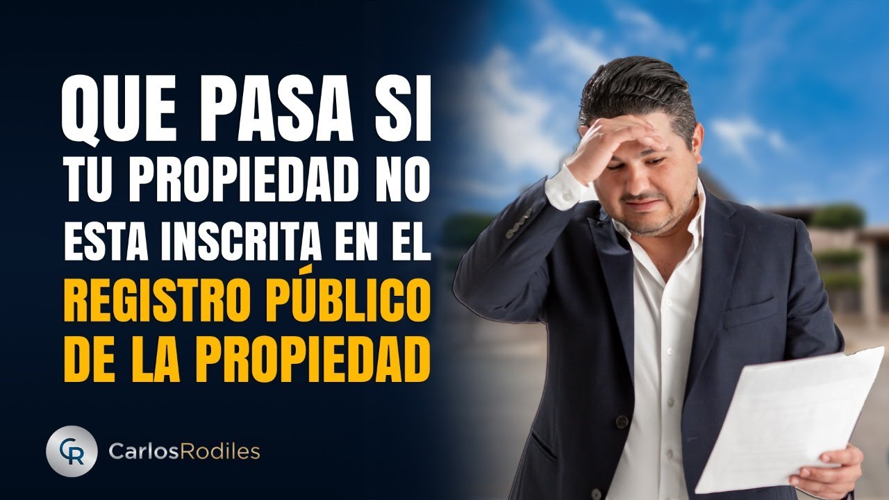 registro de la propiedad numero 8 palma