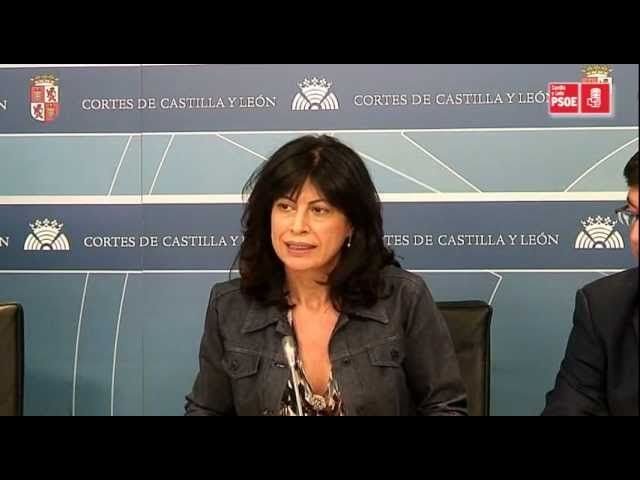 ley de regimen local de castilla y leon
