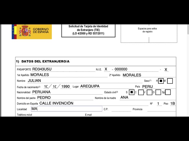 modelo oficial de solicitud ex 17