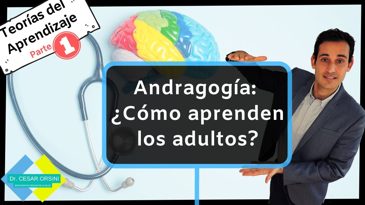requisitos para ser profesor de adultos