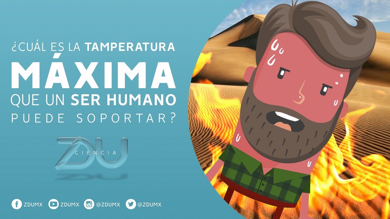 temperatura maxima a la que se puede trabajar