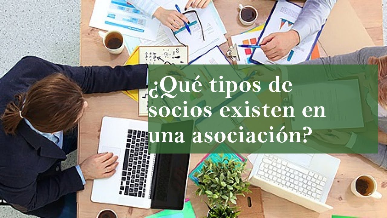tipos de socios en una asociación sin ánimo de lucro